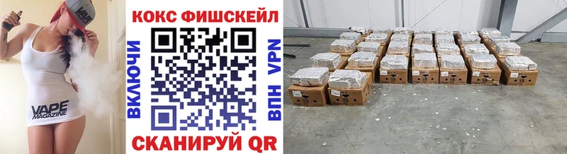 Кокаин Fish Scale  Заводоуковск 