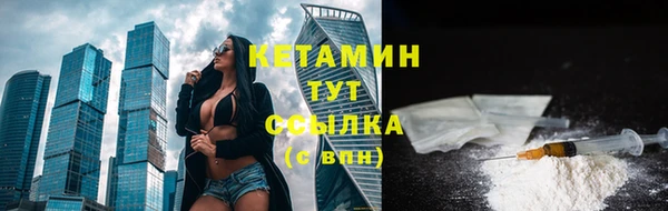 сатива Балахна