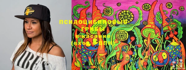 сатива Балахна