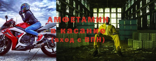 сатива Балахна