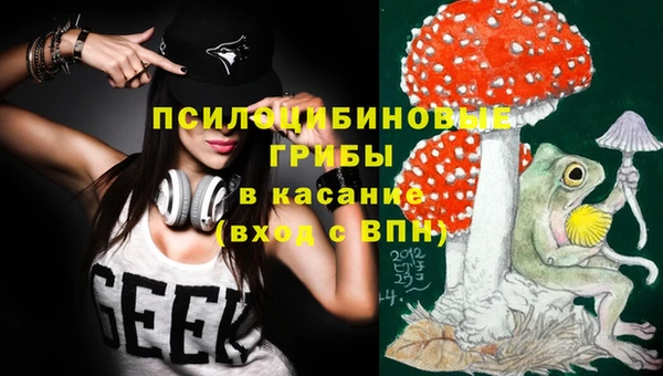 сатива Балахна