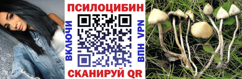 Галлюциногенные грибы MAGIC MUSHROOMS  Заводоуковск 