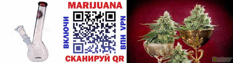 Канабис план  MEGA как зайти  Заводоуковск 